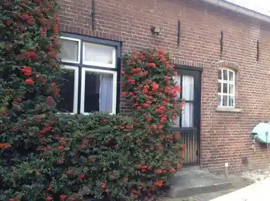 40m2 studio to rent for 810€/month in Benedeneindseweg, Deil