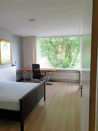 18m2 Zimmer zur Miete für 795€/Monat in Platostraat, Rotterdam