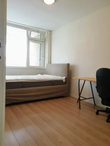 12m2 Zimmer zur Miete für 695€/Monat in Platostraat, Rotterdam