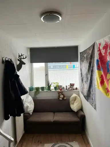 10m2 Camera in affitto per 527€/mese a Gildemeestersplein, Arnhem