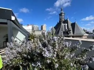 110m2 Appartement te huur voor 2460€/maand in Gedempte Gracht 591, The Hague