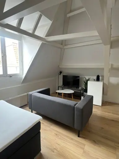 49m2 studio te huur voor 1050.76€/maand in Laan 28, The Hague