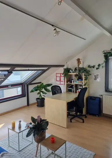 50m2 apartment to rent for 700€/month in Tongerseweg, Maastricht