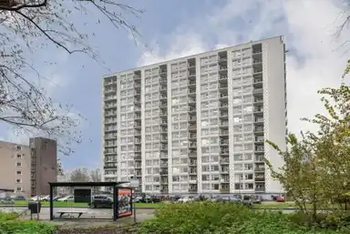 45m2 apartment to rent for 850€/month in Van Leeuwenhoekstraat 28, Haarlem