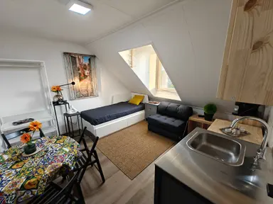 20m2 Camera in affitto per 1500€/mese a Ringbaan-Oost, Tilburg