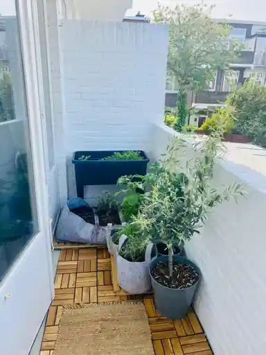 70m2 Appartement te huur voor 1995€/maand in Voorthuizenstraat, The Hague