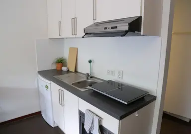 23m2 studio te huur voor 915.75€/maand in Bomansplaats 83, Eindhoven