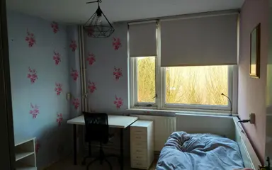 12m2 room to rent for 750€/month in Lariksdreef 34, Vlaardingen