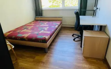 11m2 room to rent for 950€/month in Joseph Haydnlaan 3, Leiden