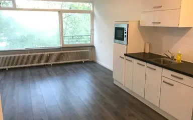 32m2 studio to rent for 980€/month in Het Kleine Loo 140, The Hague