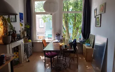 26m2 room to rent for 750€/month in Morsweg 81, Leiden