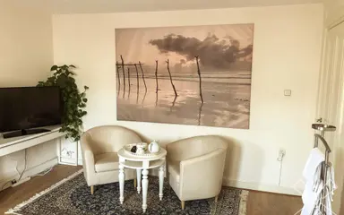 25m2 room to rent for 1150€/month in Antonie Heinsiusstraat 44, The Hague