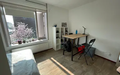 18m2 room to rent for 507€/month in Troelstralaan 130, Utrecht