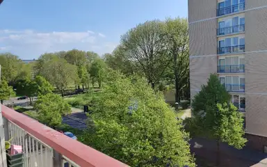 32m2 studio to rent for 950€/month in Korfoedreef 109, Utrecht