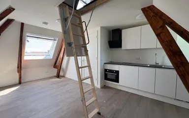 267m2 room to rent for 870€/month in Westersingel 19a, Groningen