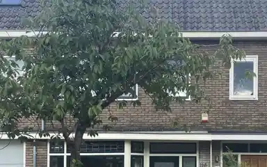120m2 house to rent for 2595€/month in Verlengde Hoogravenseweg, Utrecht