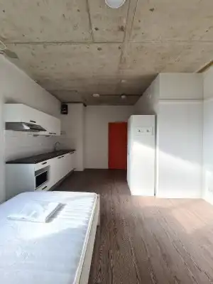 33m2 studio to rent for 550€/month in Kronehoefstraat 111, Eindhoven