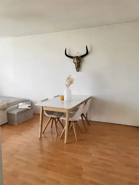 30m2 studio to rent for 1450€/month in Groeneweg, Utrecht