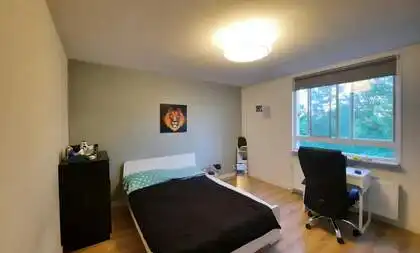 15m2 room to rent for 973.7€/month in Den Uylsingel, Rotterdam