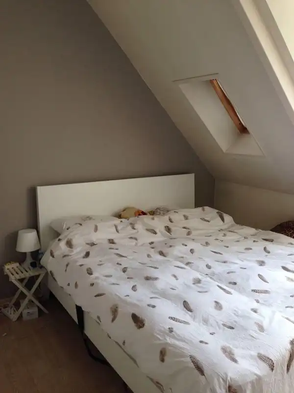 36m2 apartment to rent for 970€/month in Kruisstraat, Haarlem