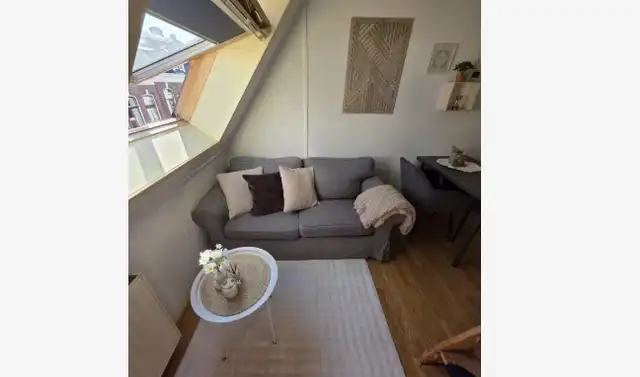25m2 room to rent for 1095€/month in Parkstraat, Utrecht