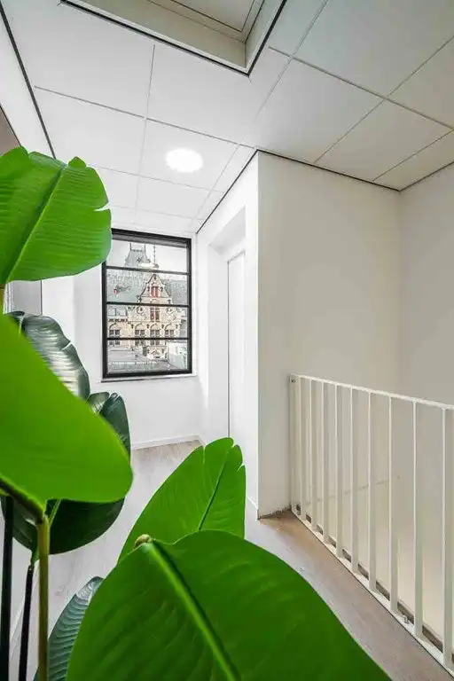 50m2 apartment to rent for 2150€/month in Bagijnestraat 28, Den Haag