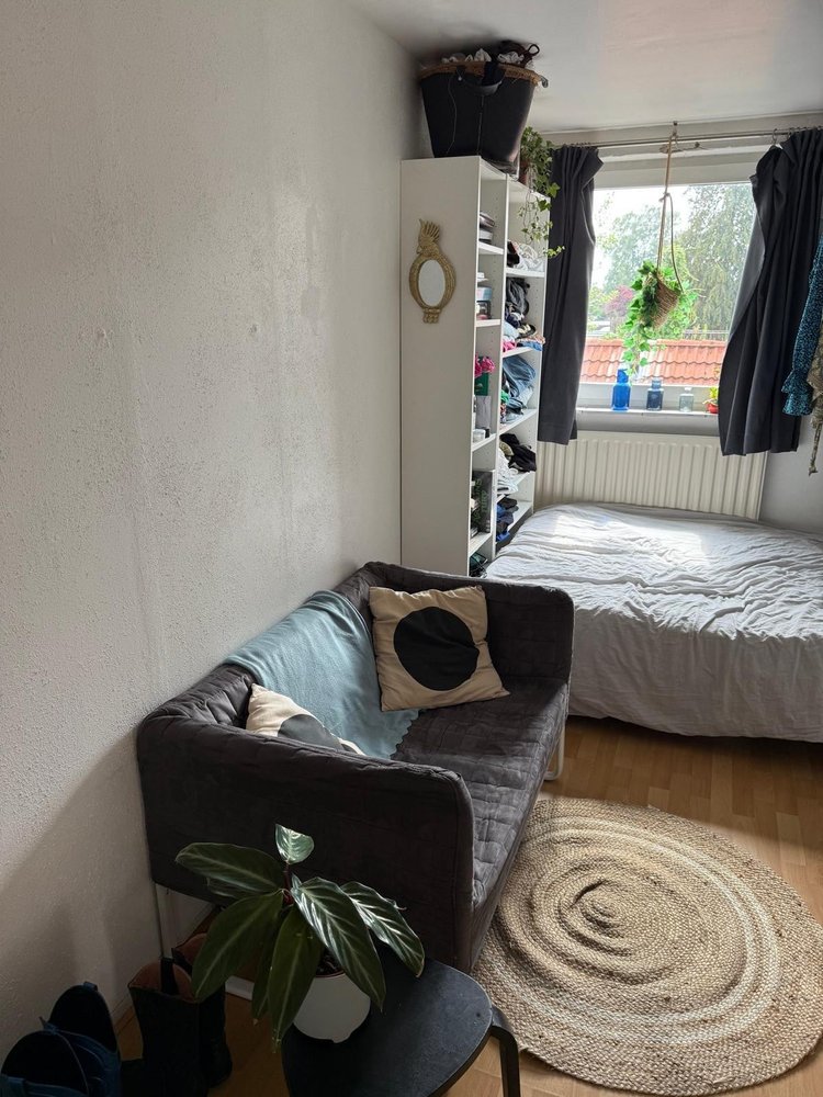 Rental property 2