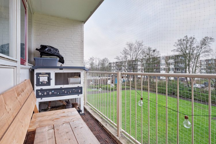 Rental property 5