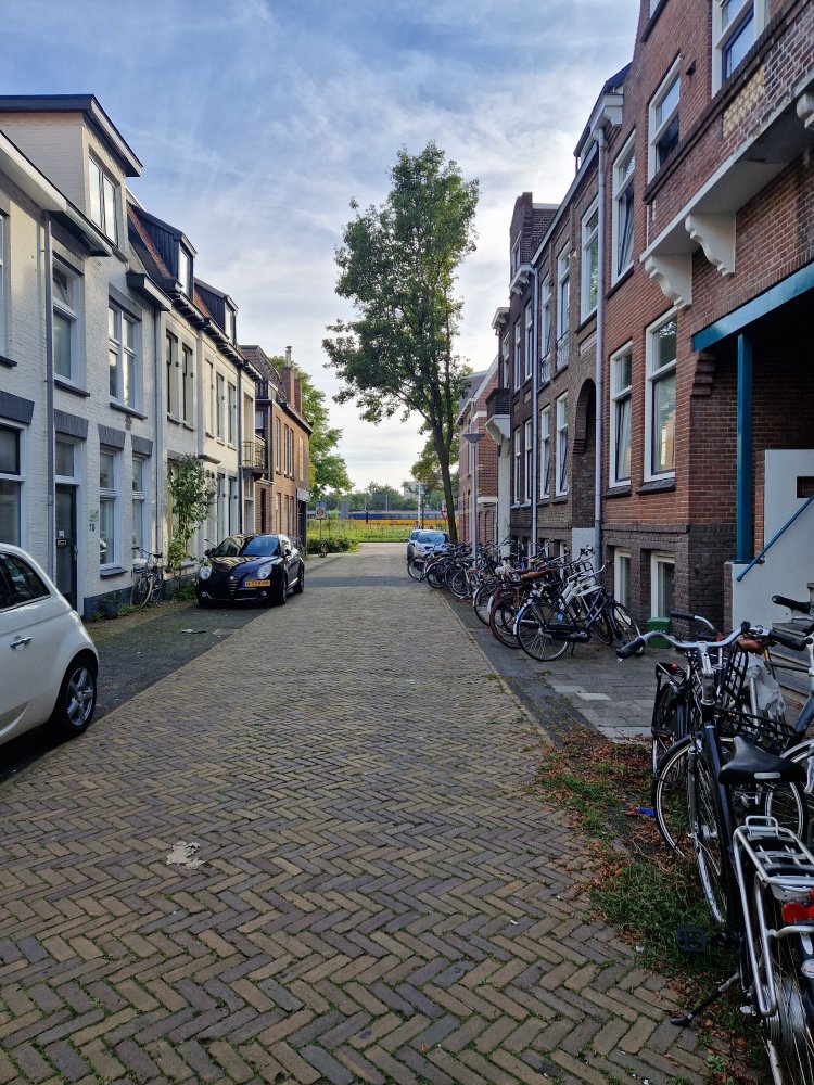 Rental property 2