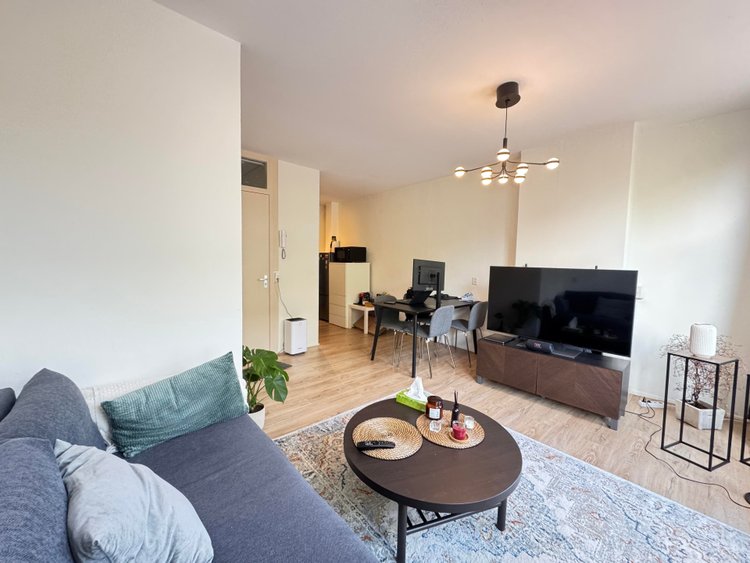 Rental property 4