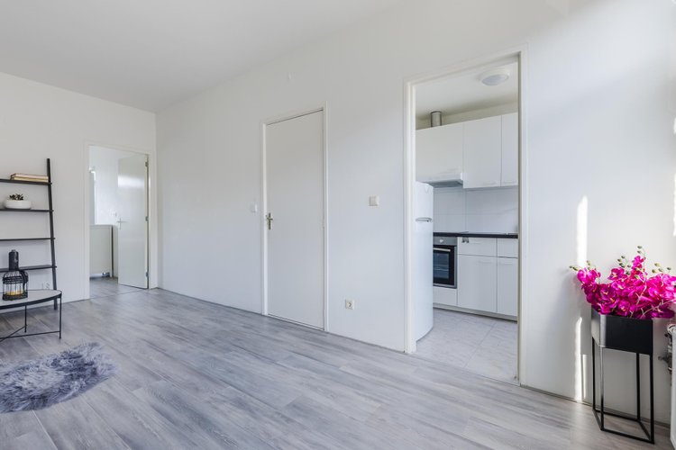 Rental property 4