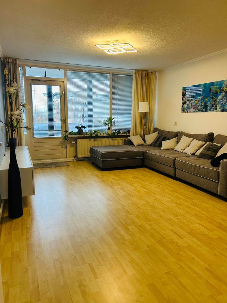Rental property 2