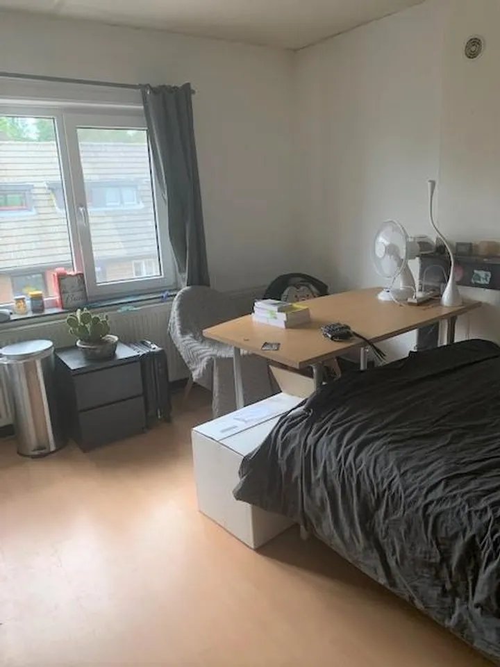 Rental property 2