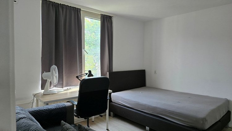 Rental property 5