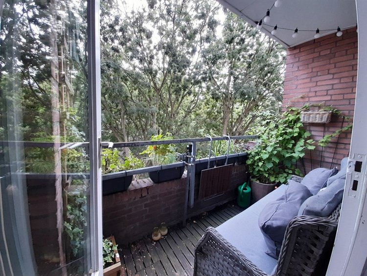 Rental property 3