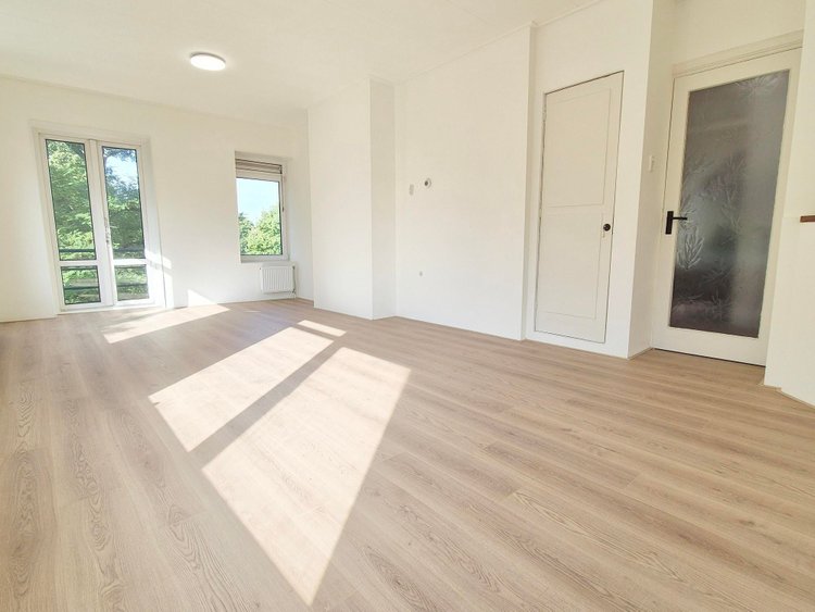 Rental property 2