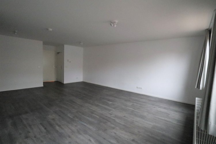 Rental property 4