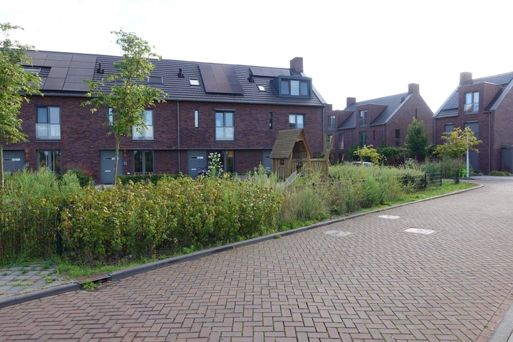 Rental property 5