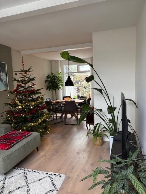 Rental property 5