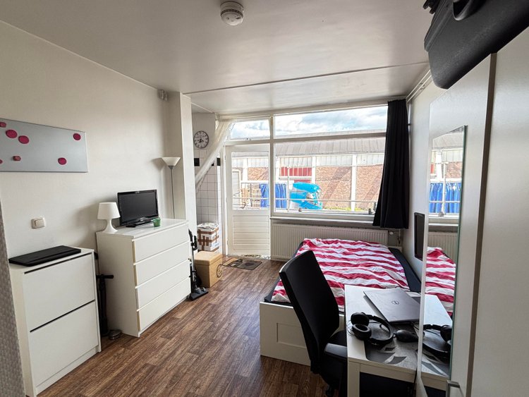 Rental property 5