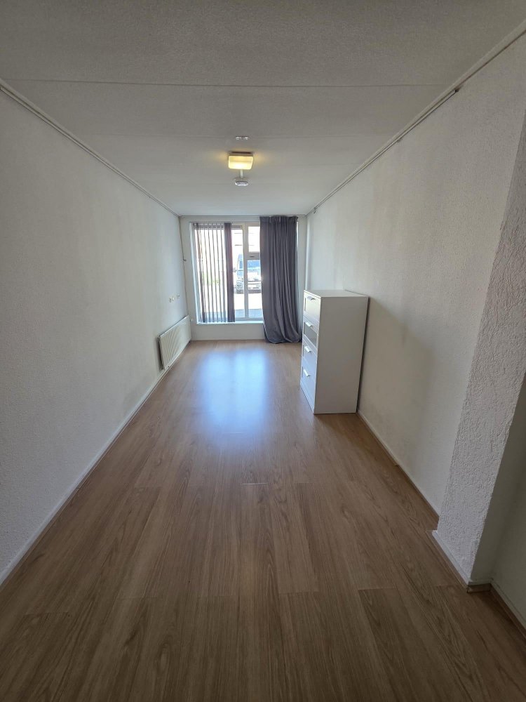 Rental property 2