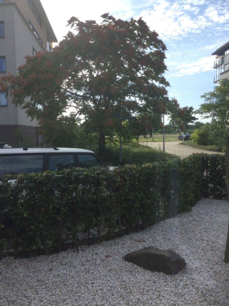 Rental property 2