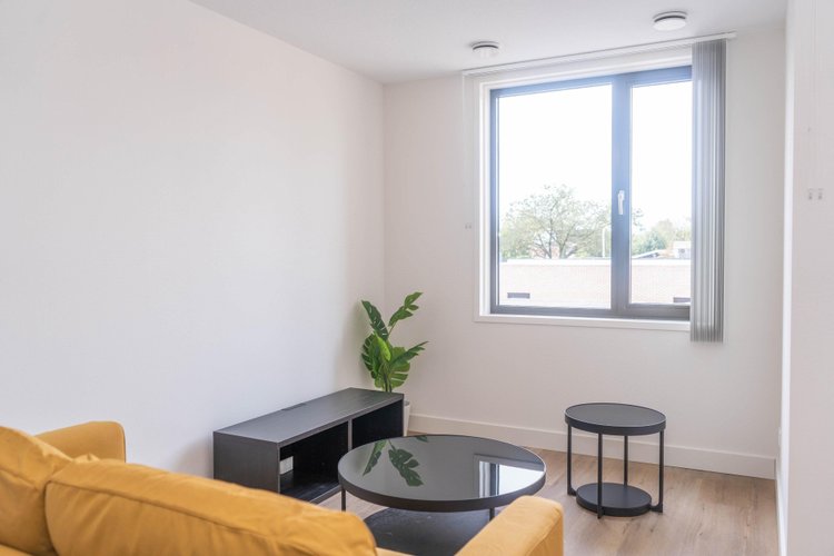 Rental property 2