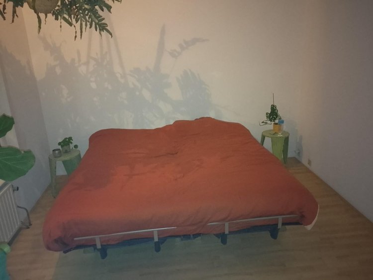 Rental property 5