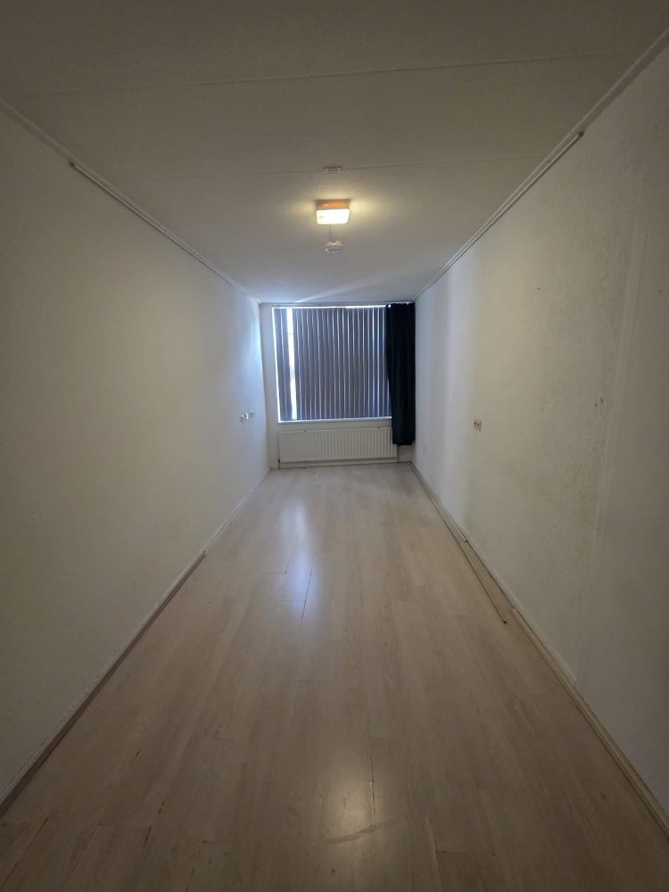 Rental property 4