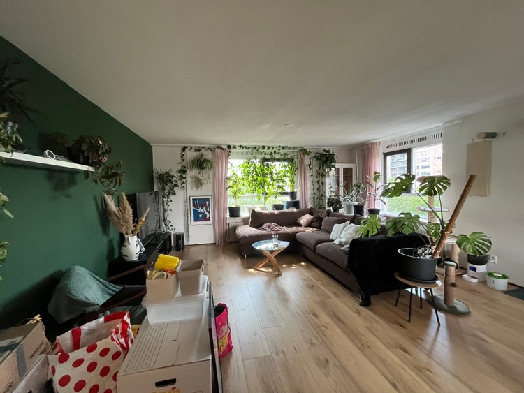Rental property 5