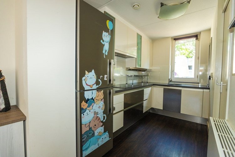 Rental property 5