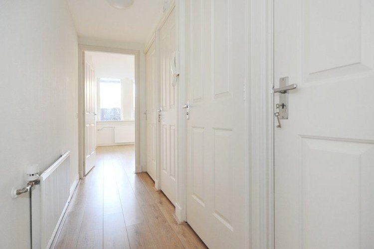 Rental property 4