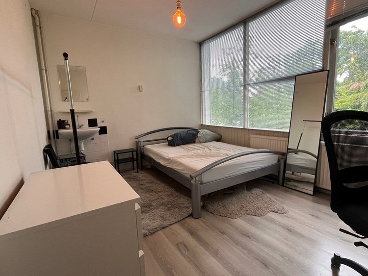 Rental property 2