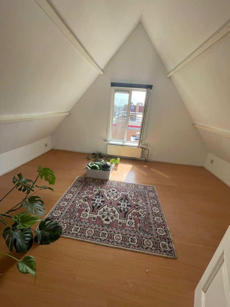 Rental property 4